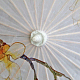 photo-2991014