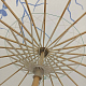 photo-2877036