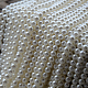 photo-2982444