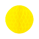 photo-2877574